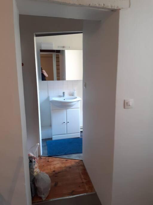 Promo24-31Mai 4Personnes Toulouse 15Mn 4 Lits Cuisine Sde Wc Apartment Montastruc-la-Conseillere Ngoại thất bức ảnh