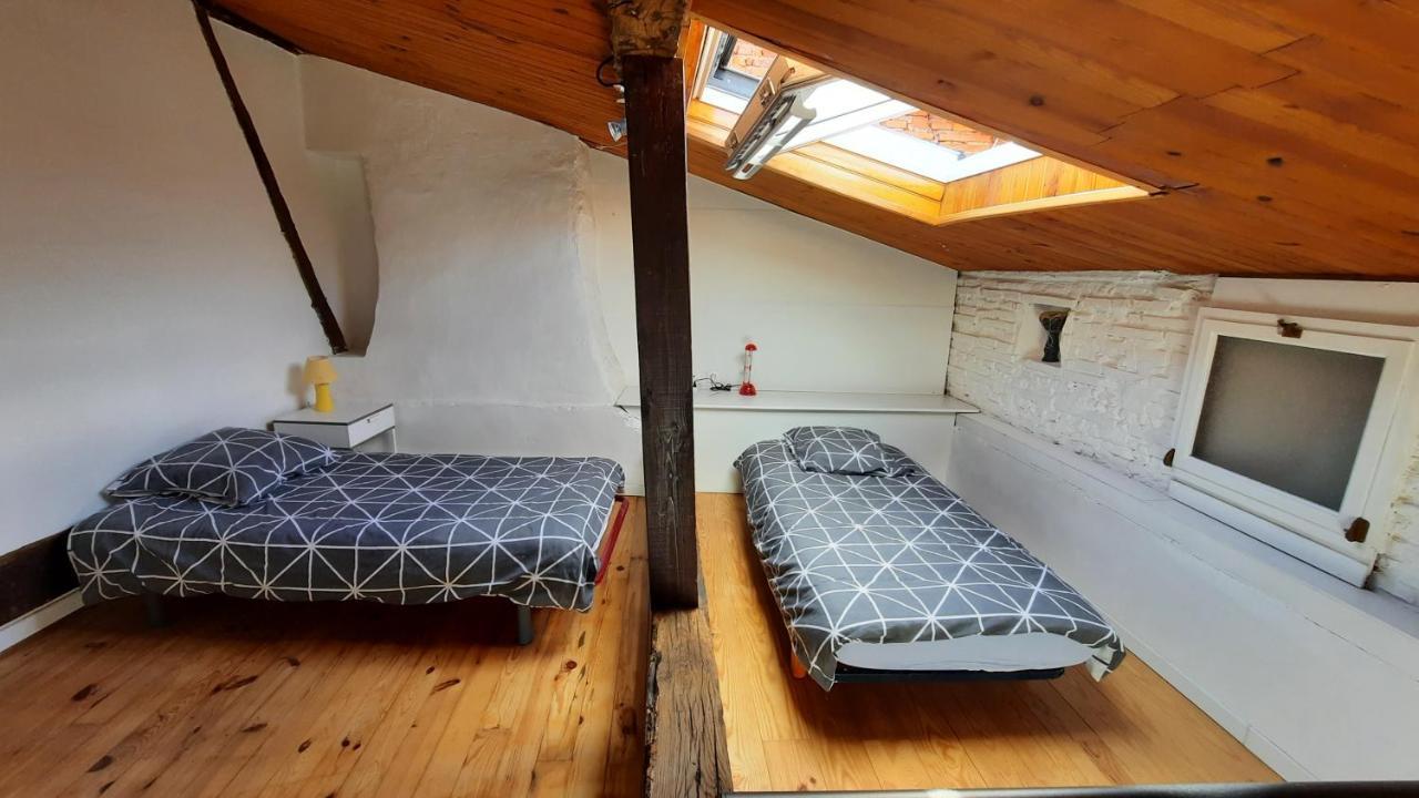 Promo24-31Mai 4Personnes Toulouse 15Mn 4 Lits Cuisine Sde Wc Apartment Montastruc-la-Conseillere Ngoại thất bức ảnh